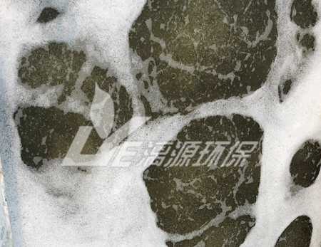 好运来与您分享食品废水处理物理指标
