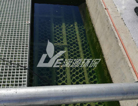 好运来解析工业污水处理中的厌氧工艺