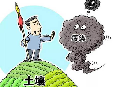 复垦地偷埋固废，是谁给的胆知法犯法