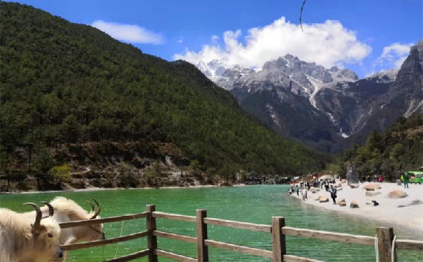 工业废水处理厂家好运来2021年4月彩云之南绿色健康行