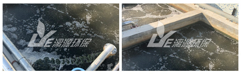 好运来承接的佛山食品废水处理工程